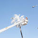Illustration for article titled Why an Artist Totally Whitewashed This LA Motel—Palm Trees and All